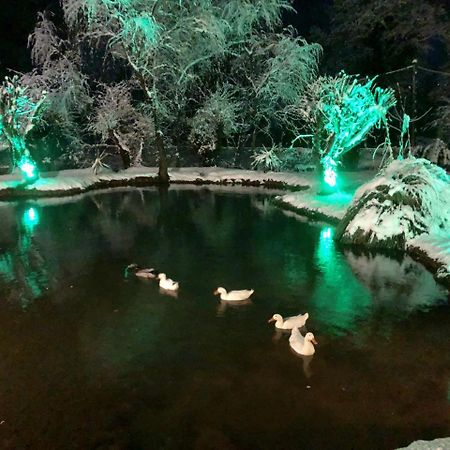 Hotel Dipla Sto Potami Chani Terevou Zewnętrze zdjęcie